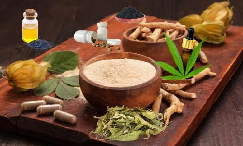 ayurvedic therapies